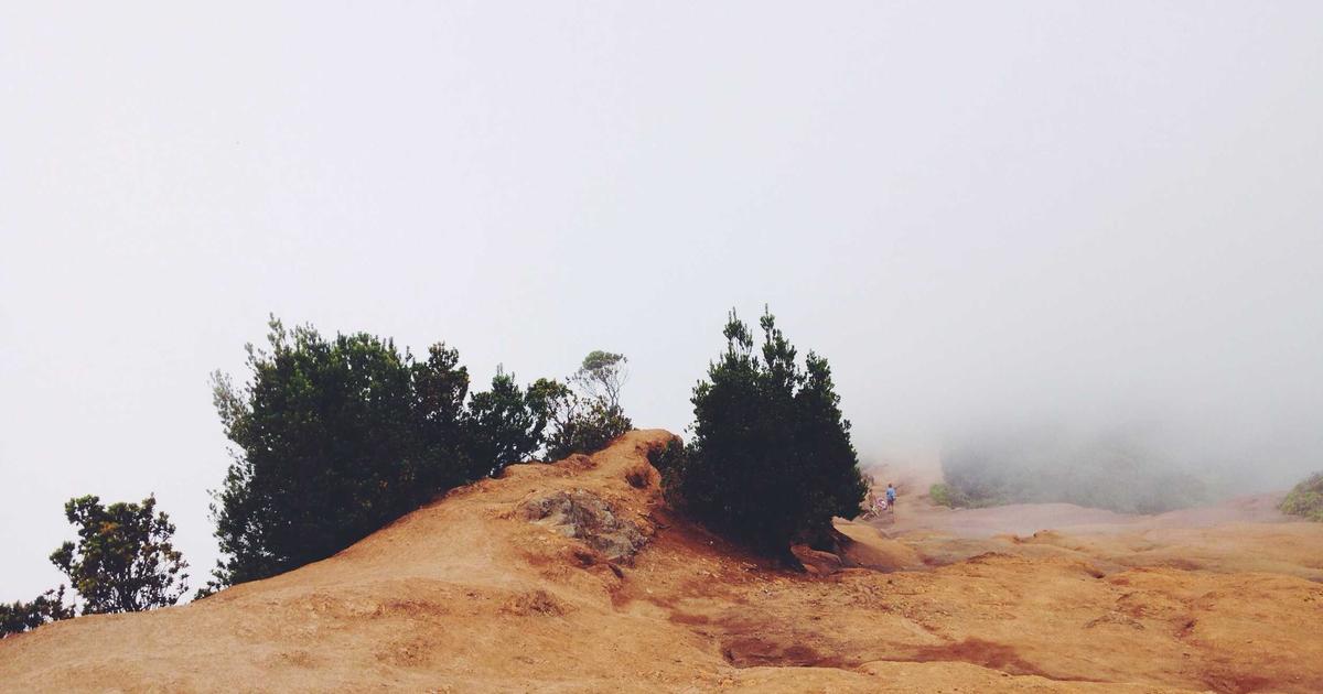 Finding the Right Dispensary Near Me: A Maui Delivery Guide